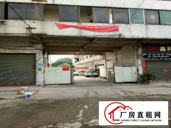  一楼厂房，仓库，办公室，宿舍楼招租，洪梅镇商业街62号