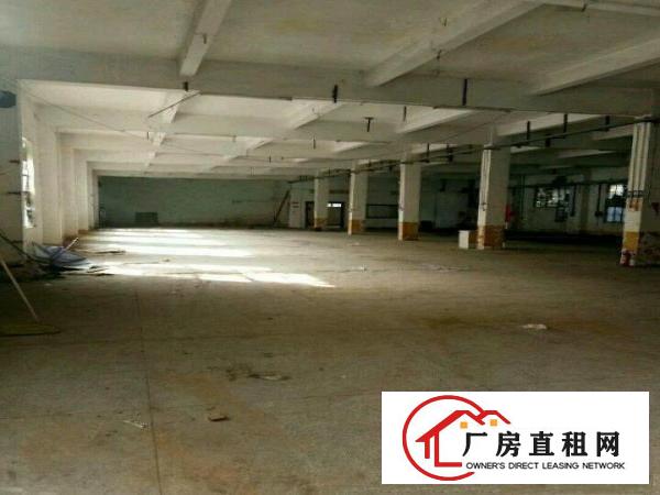  一楼厂房，仓库，办公室，宿舍楼招租，洪梅镇商业街62号