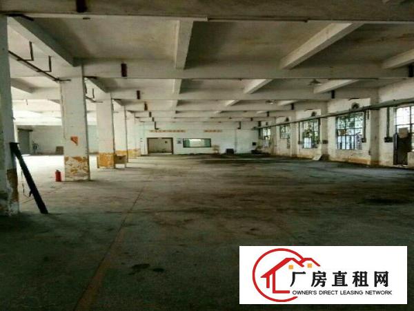 一楼厂房，仓库，办公室，宿舍楼招租，洪梅镇商业街62号