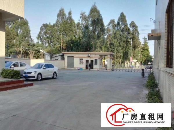  洪梅镇望沙路81号《莞术科技园》原房东3300平方钢构厂房出