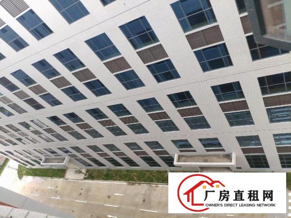  洪梅全新精装修园区厂房24000方出租，大小可分租