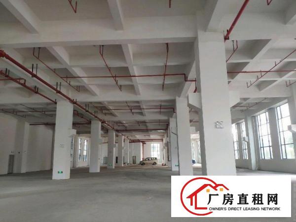  洪梅全新精装修园区厂房24000方出租，大小可分租