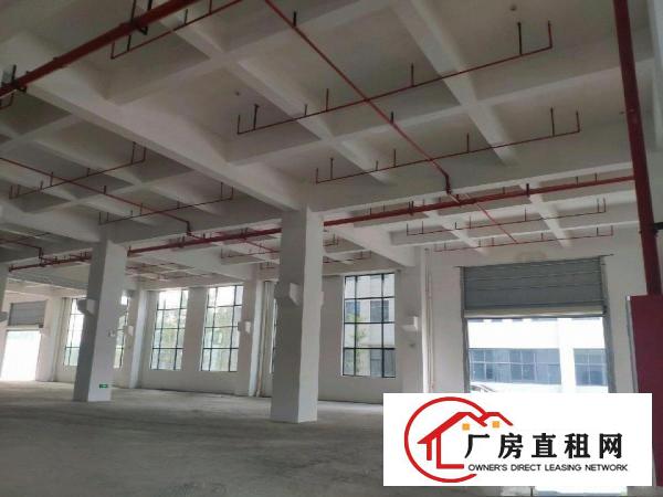  洪梅全新精装修园区厂房24000方出租，大小可分租