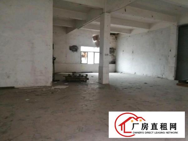  万江厂房仓库200到10000平方大小可分租另有无尘车间