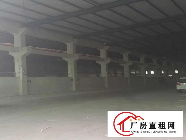  万江厂房仓库200到10000平方大小可分租另有无尘车间