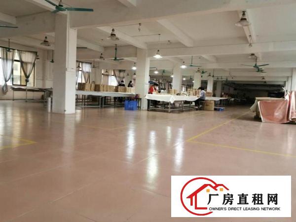  万江厂房仓库200到10000平方大小可分租另有无尘车间
