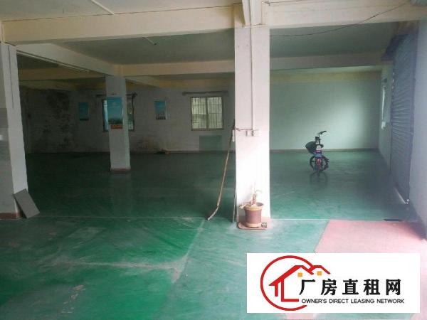 万江新谷涌带铺面厂房，房东直租