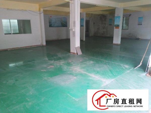  万江新谷涌带铺面厂房，房东直租