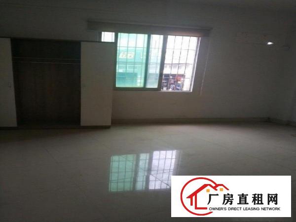  万江新谷涌带铺面厂房，房东直租