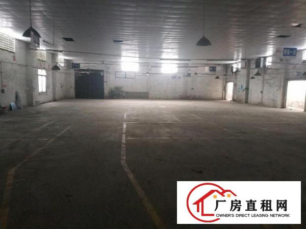  万江新谷涌带铺面厂房，房东直租
