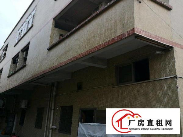  独院单一层出租1280
