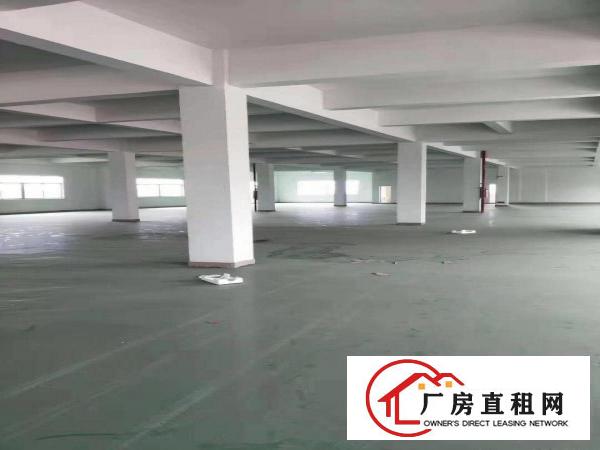  万江1000平米标准楼房出租可整租分租交通便利