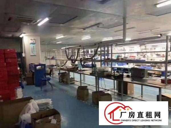  金泰楼上豪华装修1000平方厂房出租搬机即可生产
