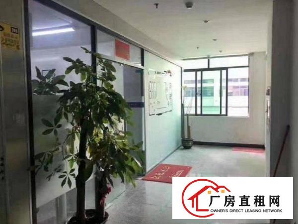  金泰楼上豪华装修1000平方厂房出租搬机即可生产
