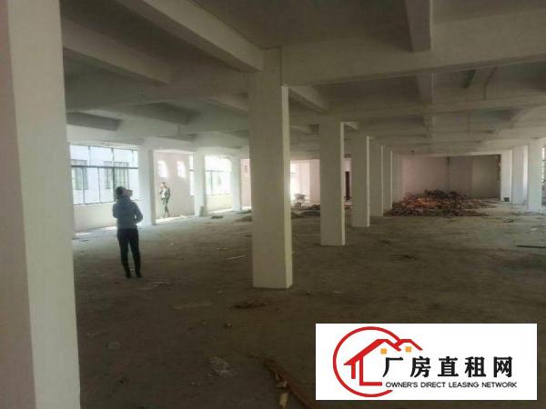  牌楼基原房东独院二层楼2100平方出租，面积无公摊