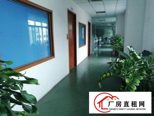  水蛇涌二楼1800平方厂房，豪华办公装修，水电齐全