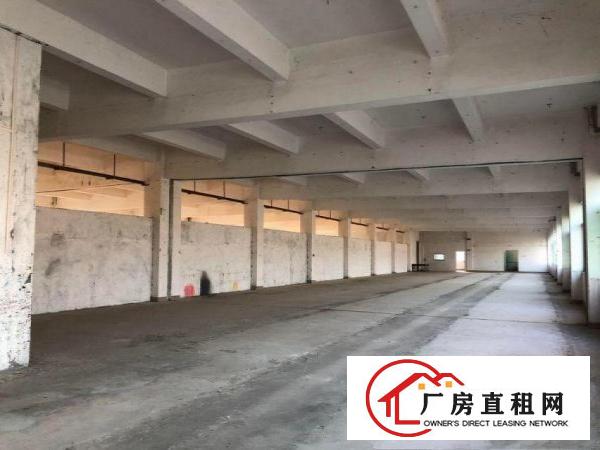  官桥滘独院标准电梯厂房可分租1000平方