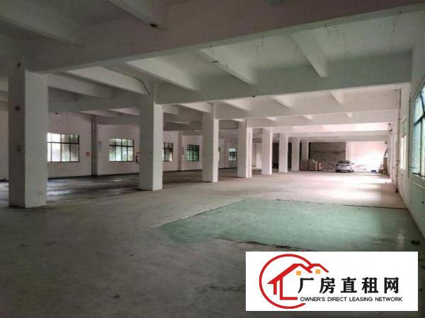  坝头厂房出租1800方，可包办环评配套齐全