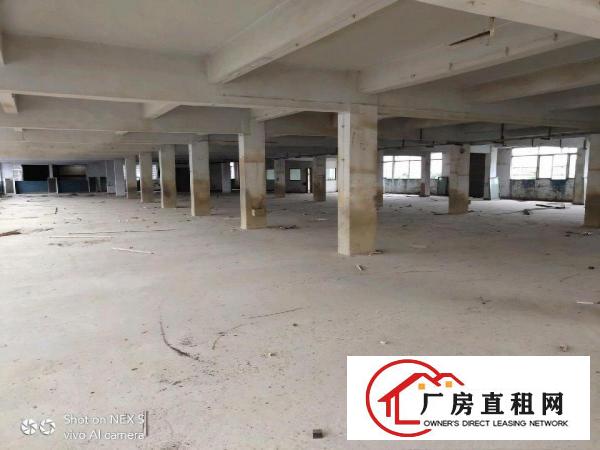  万江新和原房东独院厂房出租