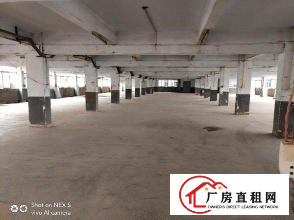  万江新和原房东独院厂房出租