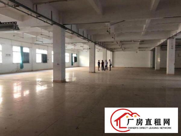  坝头标准厂房！一楼570平出租，可办环评