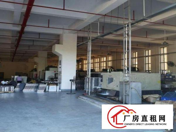  金泰新出一楼层高6米800平带牛角位厂房出租