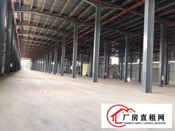  万江新出独门独院原房东物流园厂房出租