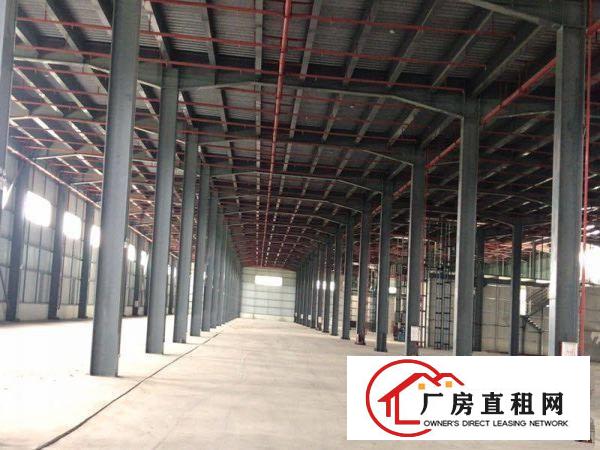  万江新出独门独院原房东物流园厂房出租