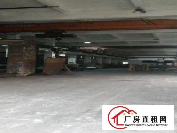  东莞厂房仓库地皮物流仓出租大小可分租200到50000平方