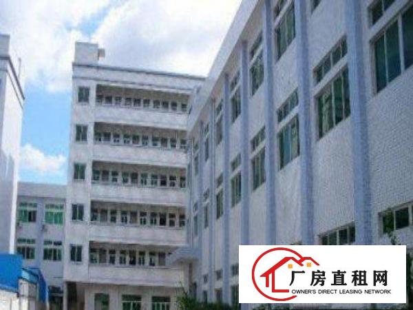  万江环城路外分租楼上2500平方，全新地坪漆，拎包入驻