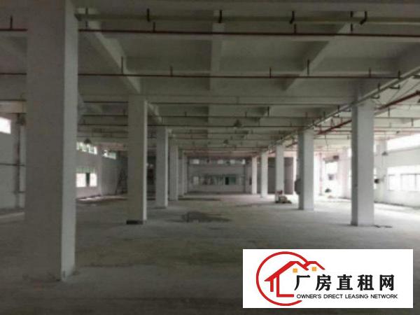  万江周边现有4500平方超靓标准独院厂房火爆招租啦