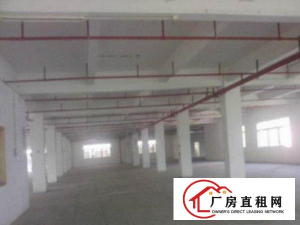  万江简沙洲独院(现成装修)标准一楼2000平方招租可分租