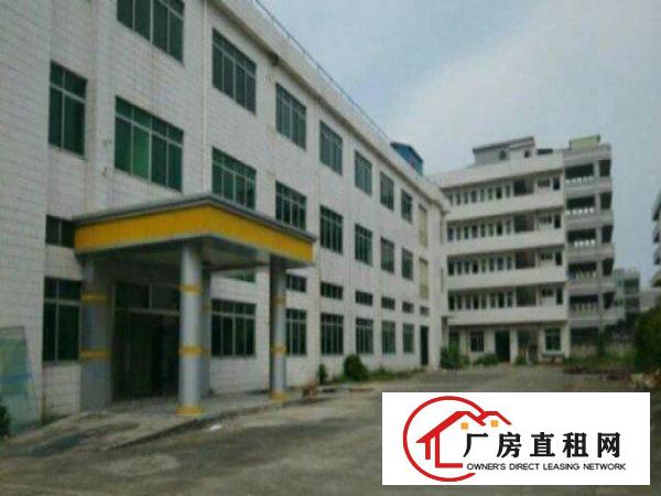  万江标准厂房一楼1700平方，地板漆车间宿舍按需现成水电