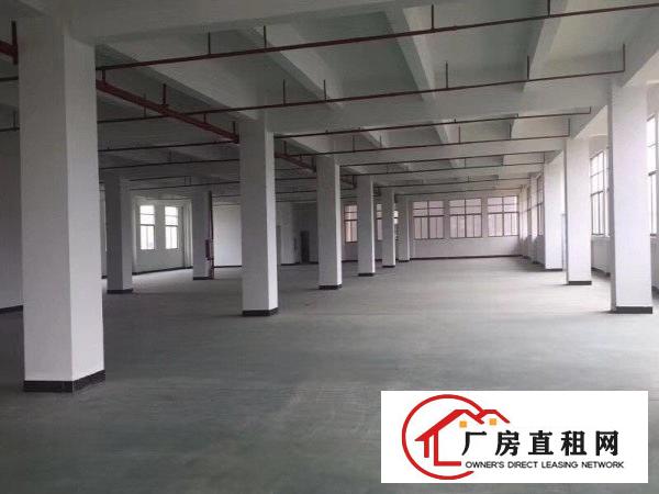  万江简沙洲独门独院标准厂房1-3层6600平方出租近港口大道