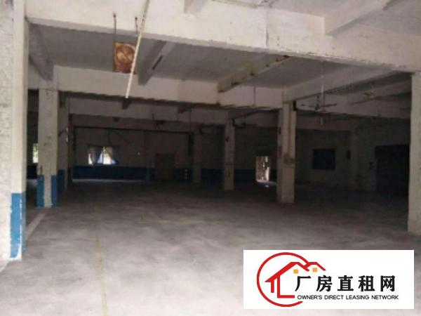  万江带现成装修标准厂房楼上2楼800或1000平方招租
