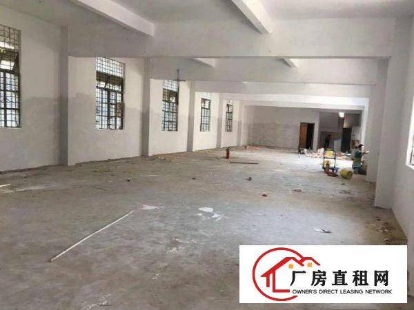  万江流涌尾新出独院标准一楼厂房1000平方出租交通方便
