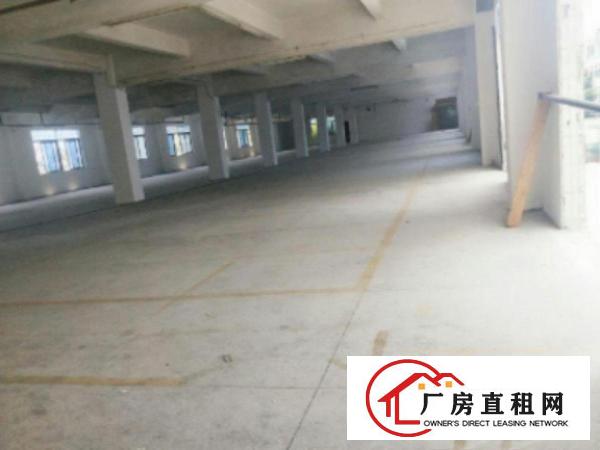  万江简沙洲环城路外标准一楼厂房800或1000平方出租