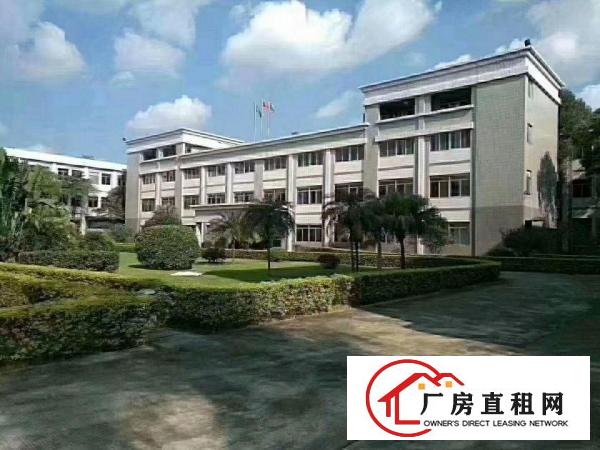  万江标准一楼厂房1500平方米,层高6米,水电线路齐全空地大