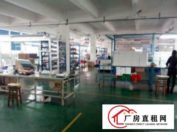  万江成熟工业园厂房分租一楼1000平方低价招租中形象佳，空地