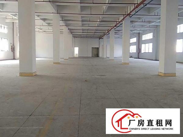  万江工业区标准厂房一楼1300平方招租空地大交通方便水电齐全