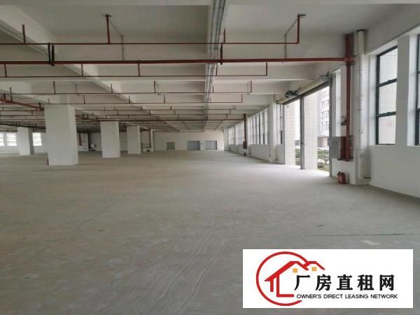  万江高新产业园厂房招租