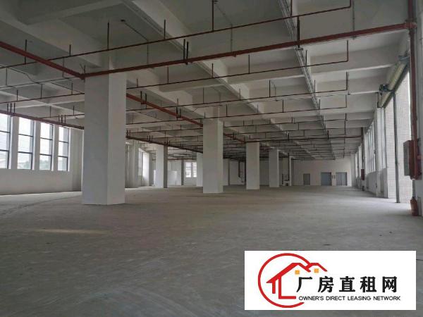  万江高新产业园厂房招租