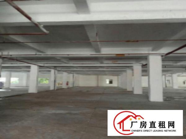  万江工业区标准一楼2000平方招租水电齐全交通方便