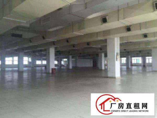  万江环城路外独门独院标准厂房5500平出租工业用地