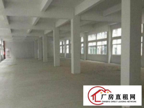  万江独院标准厂房1-3楼出租共5000平方,形象好位置佳交通
