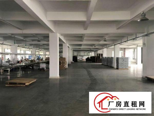  万江石美标准厂房一楼700平方出租水电齐全，厂区空地大