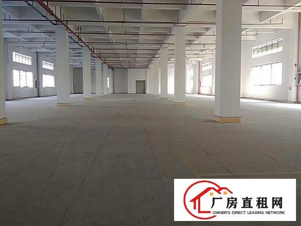  万江工业园楼上带现成装修厂房1350平方出租有电梯交通方便
