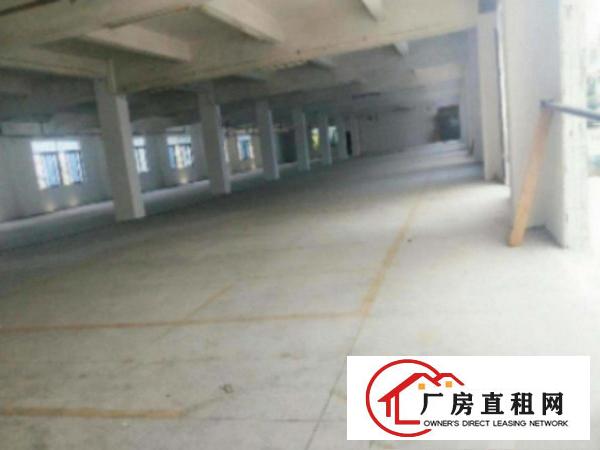  万江环城路外标准一楼厂房800或1000㎡出租、水电齐全