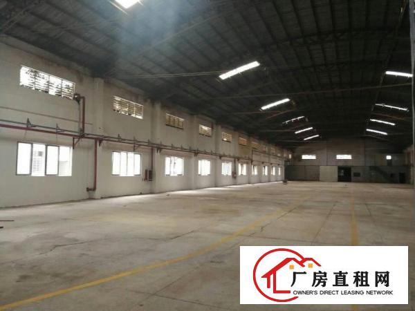 万江6000平方优质单一层铁皮厂房仓库出租离环成路2公里