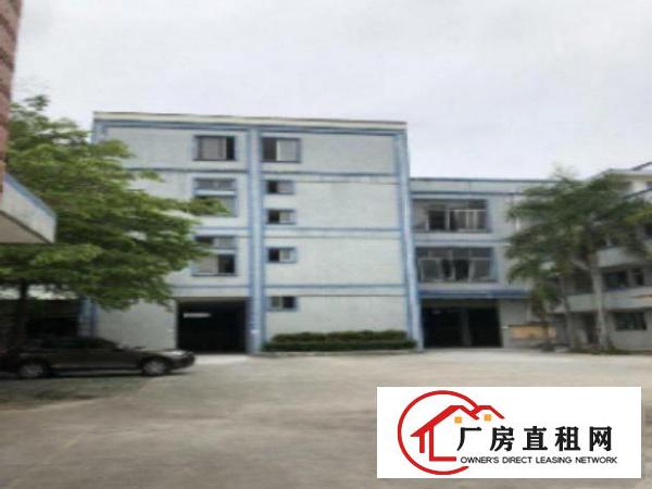  万江2000平米一楼标准厂房出租，水电齐全